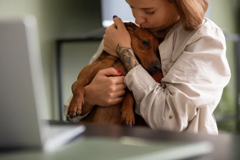 Cáncer en Mascotas y la Importancia del Diagnóstico Temprano