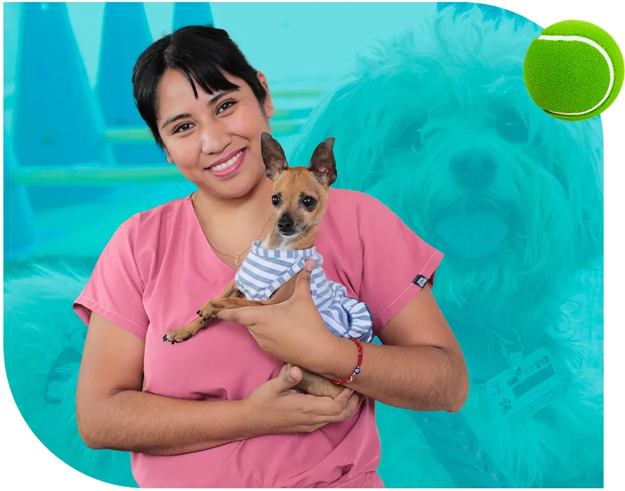 Doctora Medico Veterinaria sosteniendo a un paciente de Neuropets